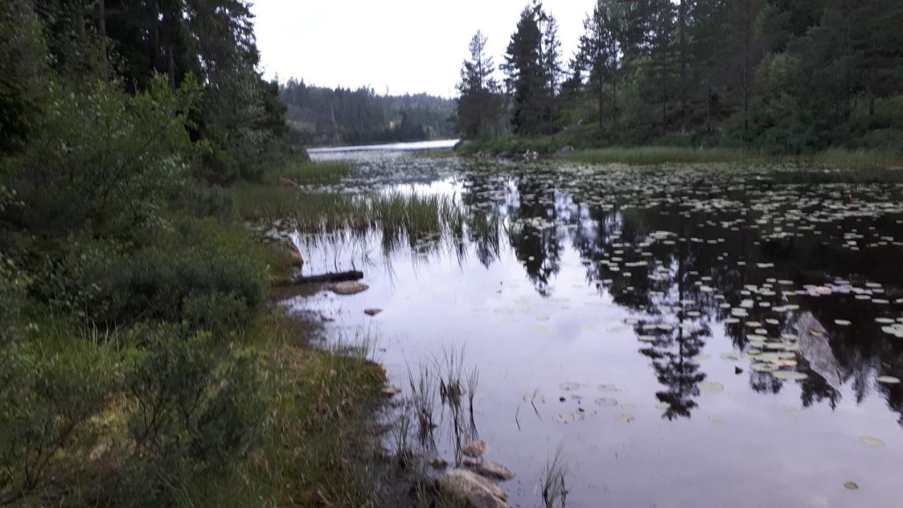 Granheim Hytte Med 2 Soverom Birkeland Екстериор снимка