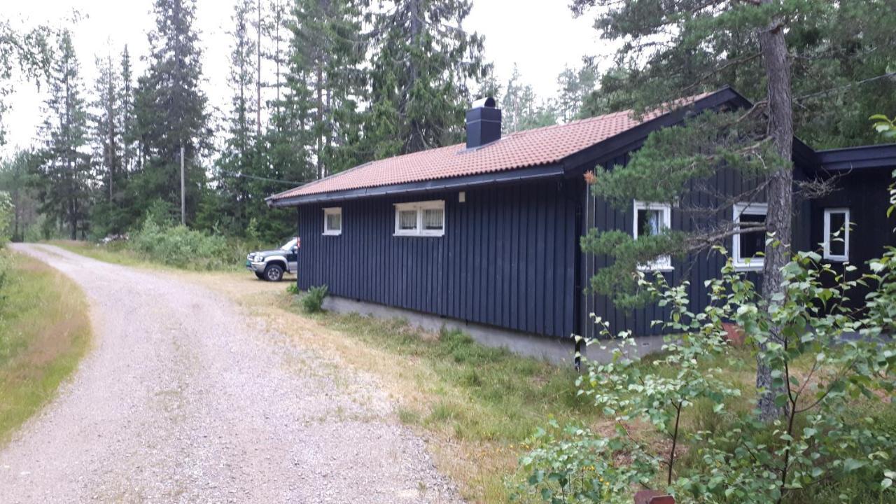 Granheim Hytte Med 2 Soverom Birkeland Екстериор снимка